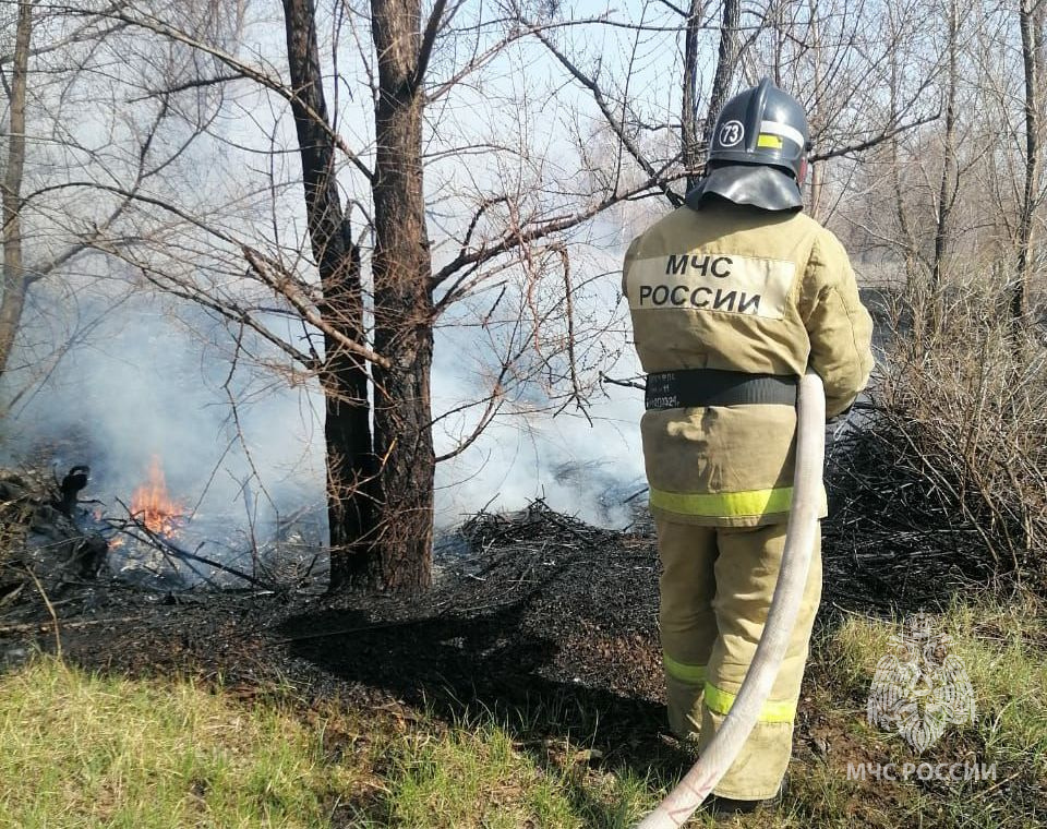В разы увеличилось количество возгораний сухой травы и мусора на территории Алтайского края.